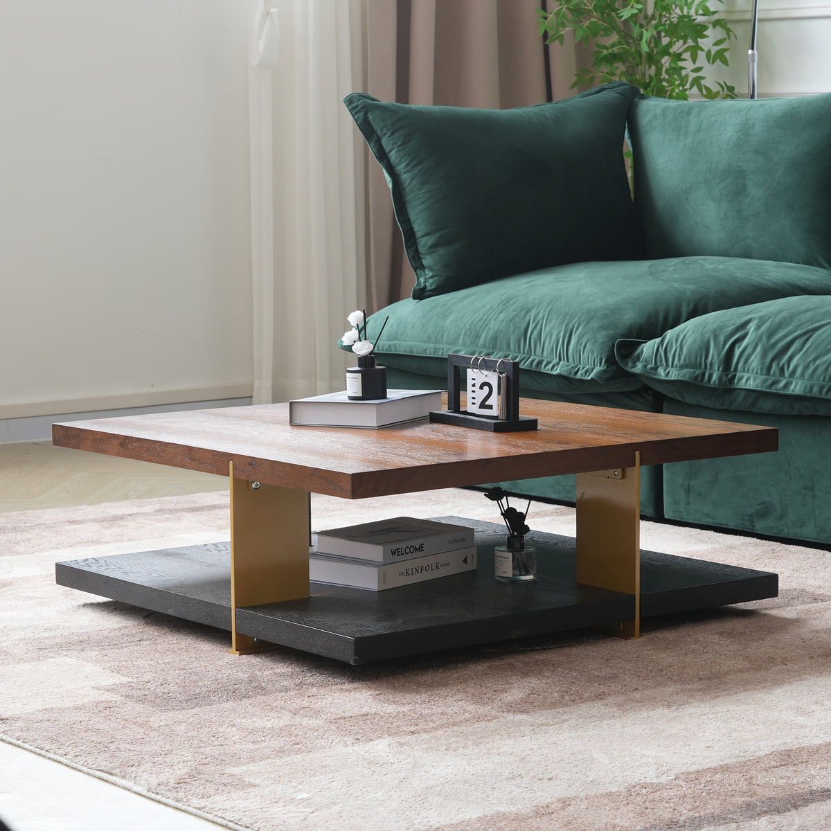 TV Stand & Coffee Table