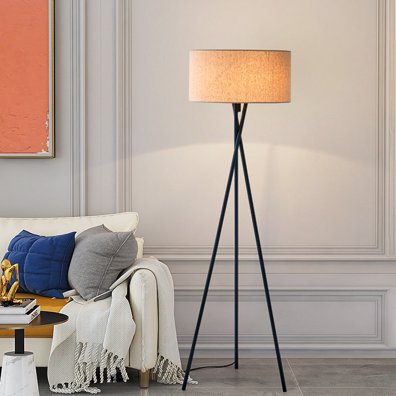 Light & Lamp
