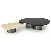 【LAS VEGAS MARKET EXHIBIT】Nesting Irregular Sintered Stone Coffee Table Set, Brushed Stainless Steel Base 2-Piece Organic Shape Living Room Center Table