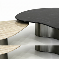 【LAS VEGAS MARKET EXHIBIT】Nesting Irregular Sintered Stone Coffee Table Set, Brushed Stainless Steel Base 2-Piece Organic Shape Living Room Center Table