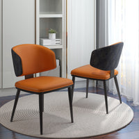 Minimalist Luxury Home Dining Lounge Chair Set of 2