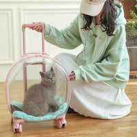 PawVoyage Transparent Pet Carrier