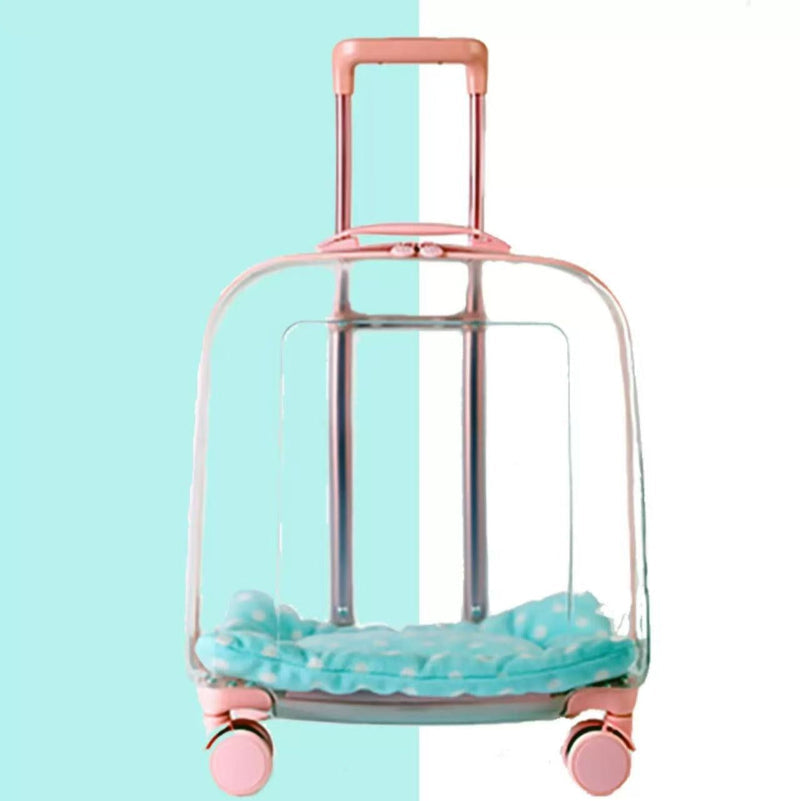 PawVoyage Transparent Pet Carrier