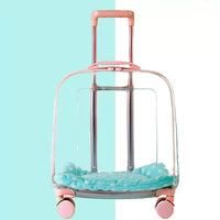 PawVoyage Transparent Pet Carrier