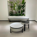 Luna Duo Nesting Coffee Table Set#8030