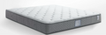 Basic Style Members Special Mattress