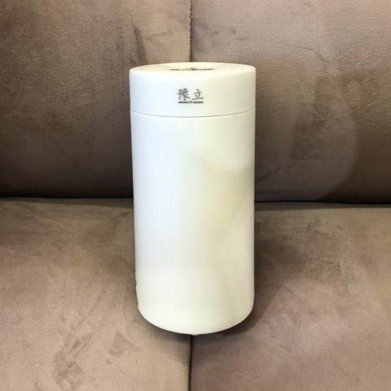 GlobeSip Travel Kettle