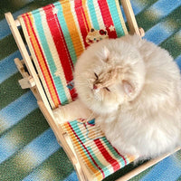 Sunny Stripe Pet Lounge Chair